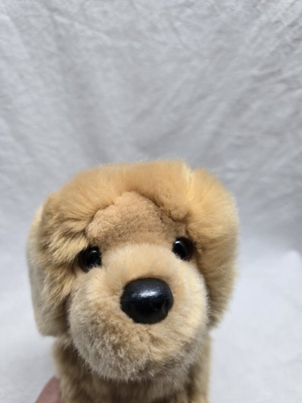 Douglas Cuddle Toys Chap The Golden Retriever # 1724 Stuffed Animal Toy 2016 - Picture 2 of 11